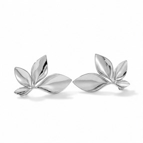Lierre bladörhängen i silver