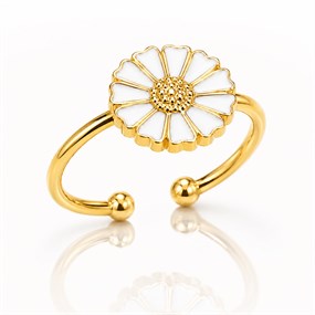 Vacker margueritring